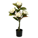 Магнолия с цветами 80 см