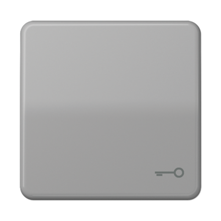 JUNG CD 500/CD plus Серая Клавиша 1-ая с символом КЛЮЧ, арт.CD590TGR