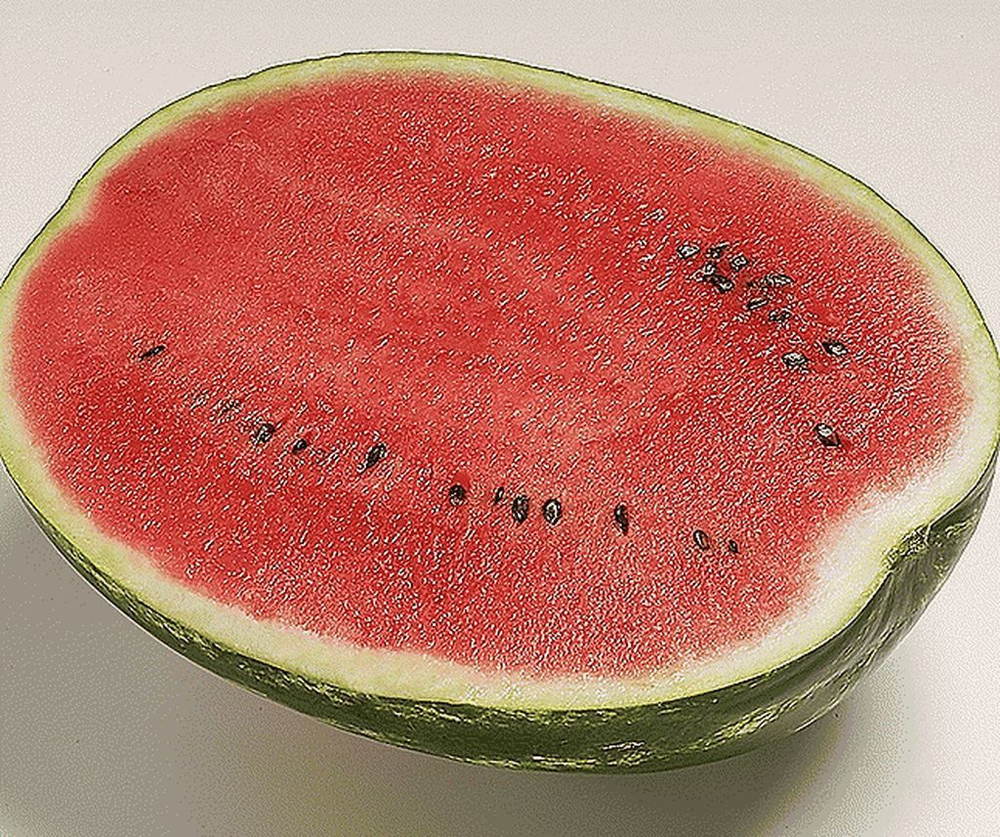 Топ ган F1 семена арбуза (Syngenta / Сингента)