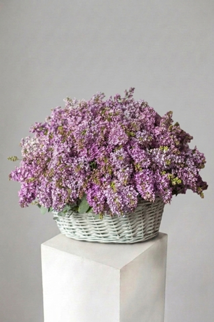 Корзина из сирени