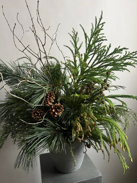 Композиция из хвойных растений "Сибирь"