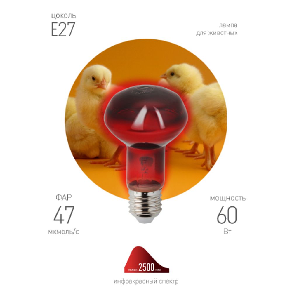 Инфракрасная лампа ЭРА ИКЗК 230-60 R63 Е27 для обогрева животных 60 Вт Е27