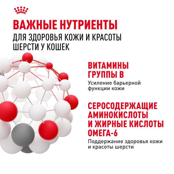 Пауч Royal Canin Hair&Skin Care для взрослых кошек для поддержания здоровья кожи и красоты шерсти, тонкие ломтики в соусе