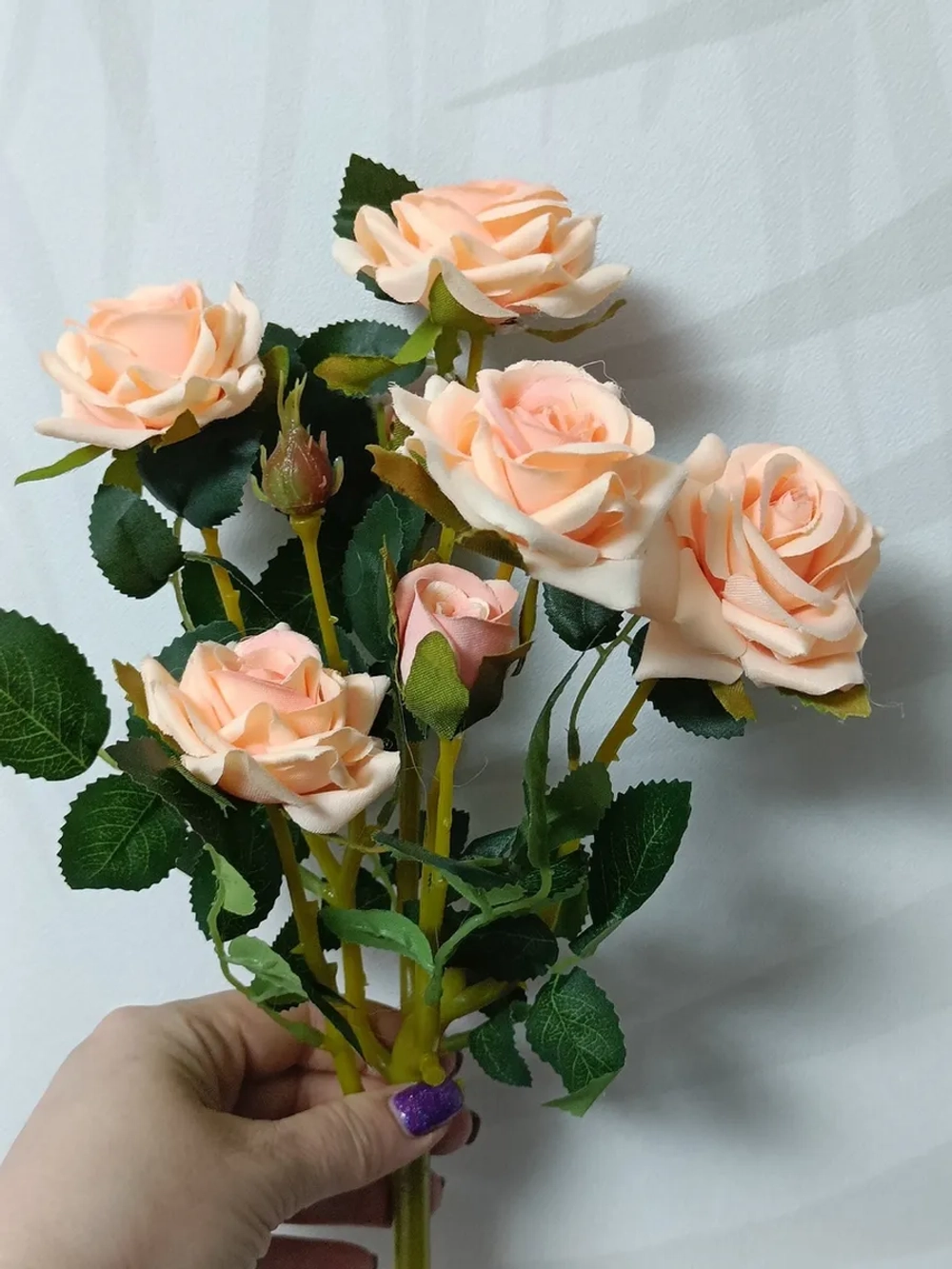 Роза кустовая бархатная, без кашпо.