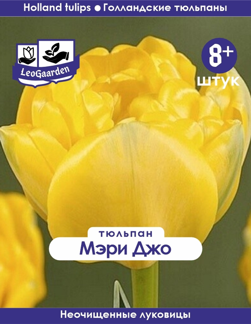 Тюльпан Луковица, Мэри Джо, 8+шт