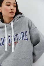 Худи Miracle Apparel Adventure University Серый меланж