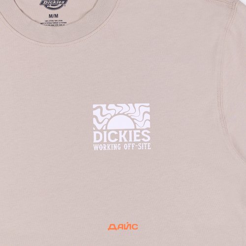 Футболка мужская Dickies Saltville Tee артикул:DK0A4YR9SS01 - купить в магазине Дайс