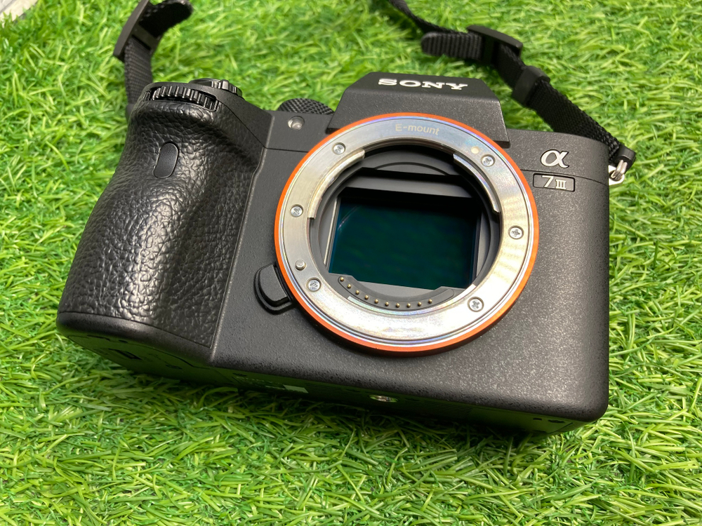 Sony A7 III (20.500 кадров)