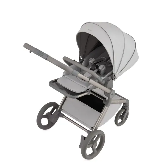 Коляска ANEX Flo 3 в 1 Frossy