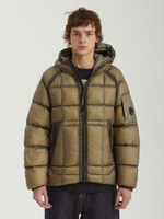 Мужской Пуховик In Dd-shell