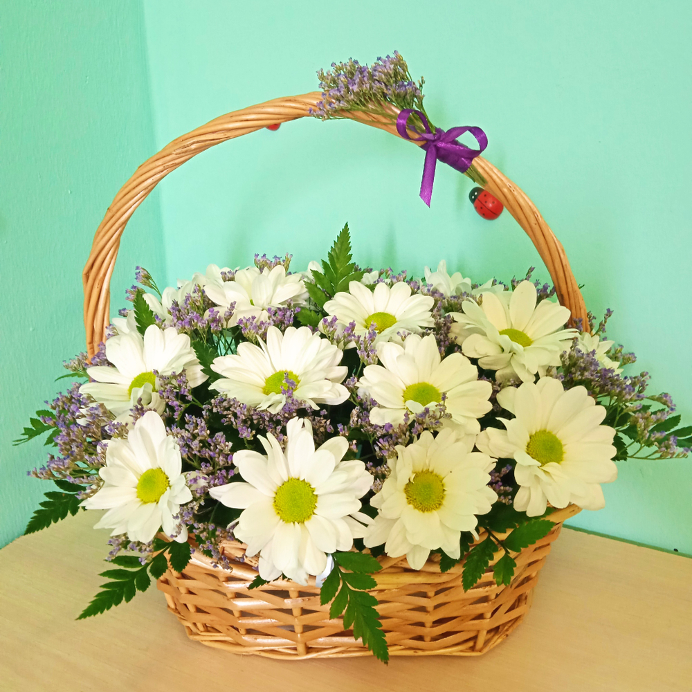 Корзина с хризантемой Баккарди