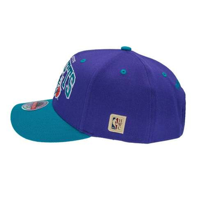 Баскетбольная кепка Mitchell&Ness Charlotte Hornets Team Arch