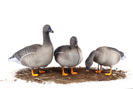 Гусь гуменник S-XPE 3D мод. G622-3D