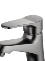 Смеситель для раковины WONZON & WOGHAND, Темный графит (WW-A40212-BGG)