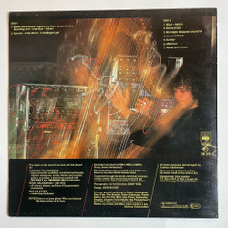 Винтажная виниловая пластинка LP Andreas Vollenweider Behind The Gardens Behind The Wall Under The Tree (Germany 1981)