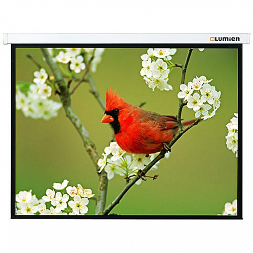 Настенный проекционный экран Lumien Master Picture 406х305 см Matte White FiberGlass [LMP-100114]