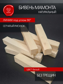 Бивень мамонта Премиальный белый