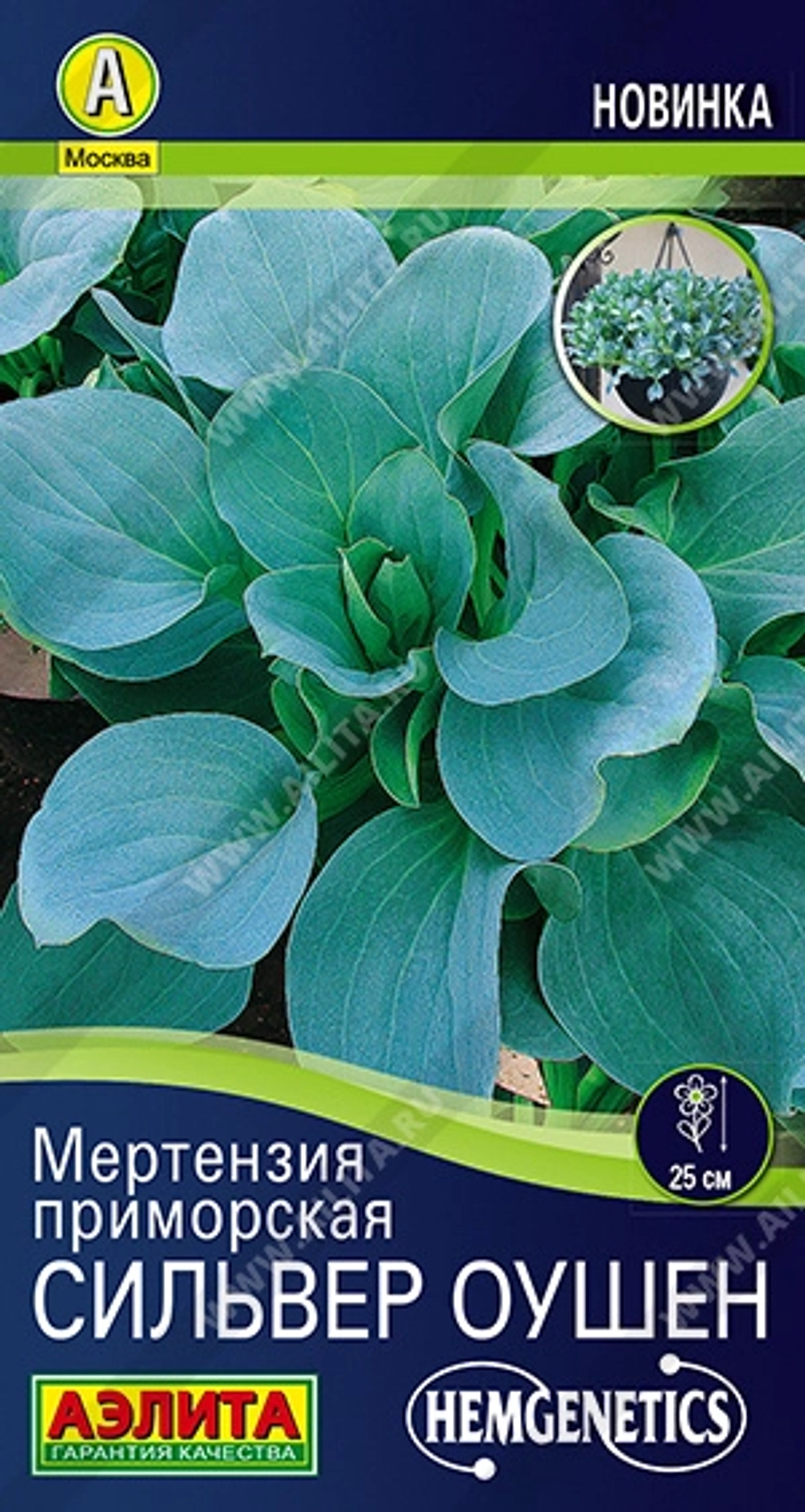 Мертензия приморская Сильвер Оушен многолетник 5шт (Аэлита)