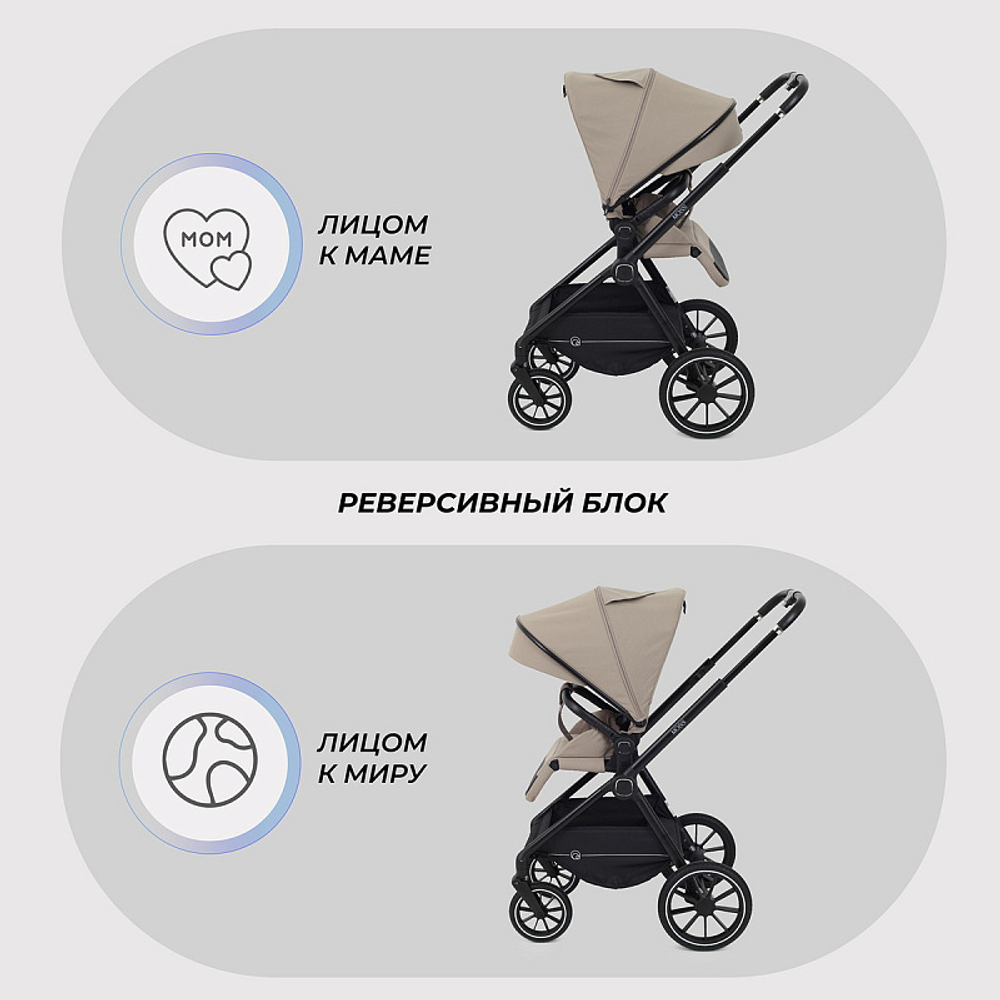 Детская коляска Rant Moss 3 в 1 с автокреслом Rant Cruise Black Beige