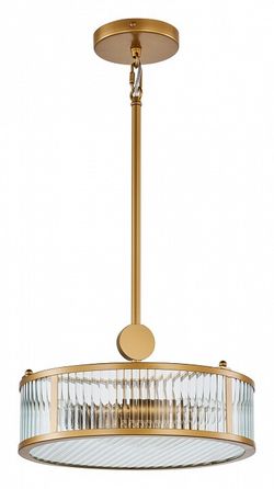 Светильник на штанге Favourite Radiales 3099-3P