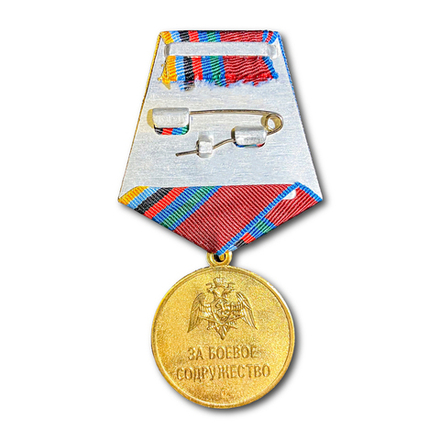 Медаль ФСВНГ Росгвардии За Боевое Содружество