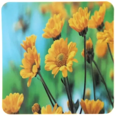 Салфетка на стол 43*28см в наборе 6+6шт «Хризантемы»