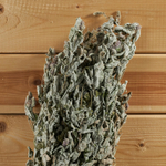 Мята яблочная, букет_5.jpg