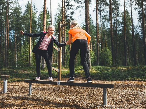 Гимнастическое бревно