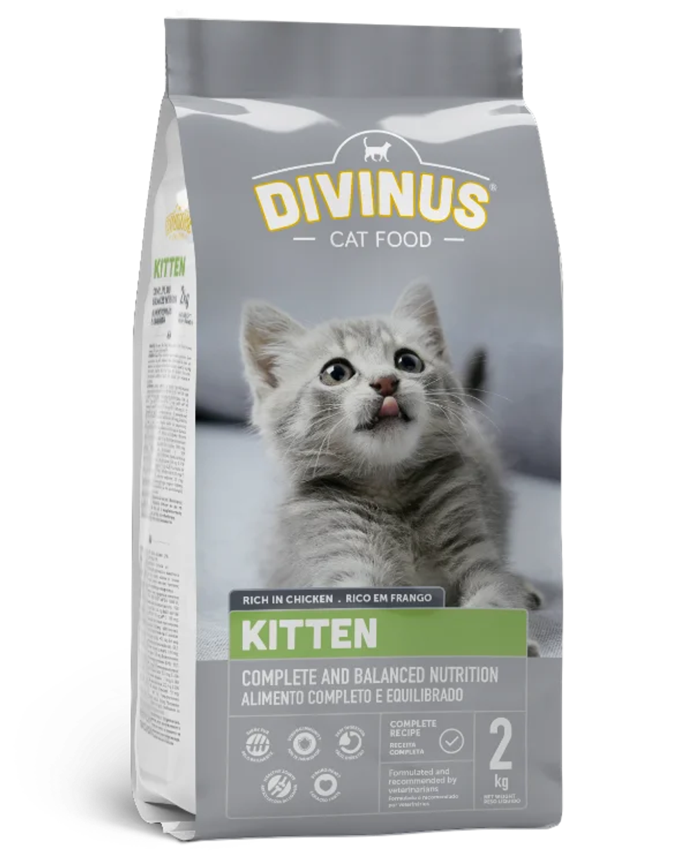 Сухой корм Divinus Kitten