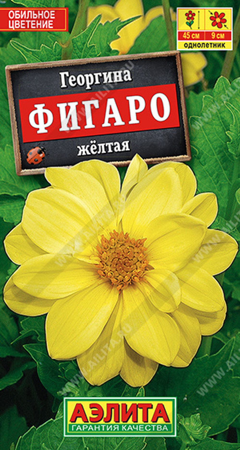 Георгина Фигаро желтая махровая 7шт Аэлита