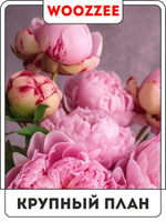 Набор постеров "Открытость пиона" 3шт.