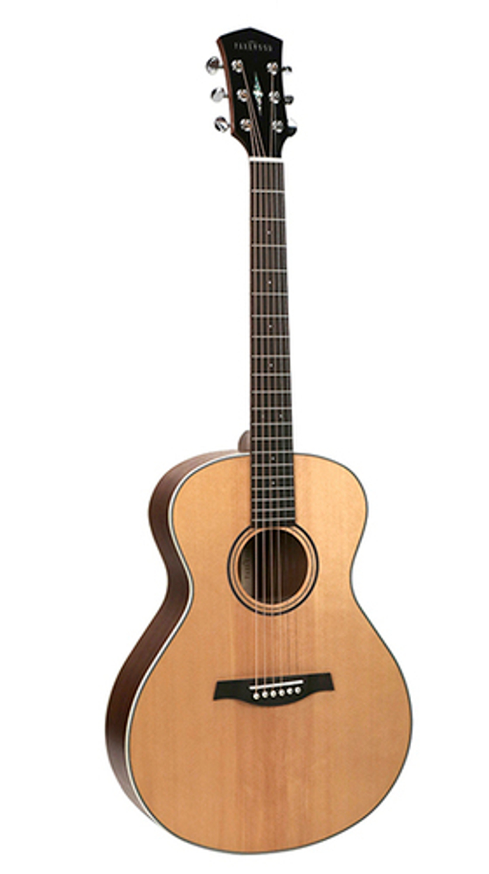 Гитара иной формы Parkwood S23-GT