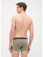 Комплект трусов-боксеров мужских Mens Knit 2-Pack Trunk EMPORIO ARMANI