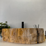 Раковина из окаменелого дерева FossilBasin OD-62416 59*49*15