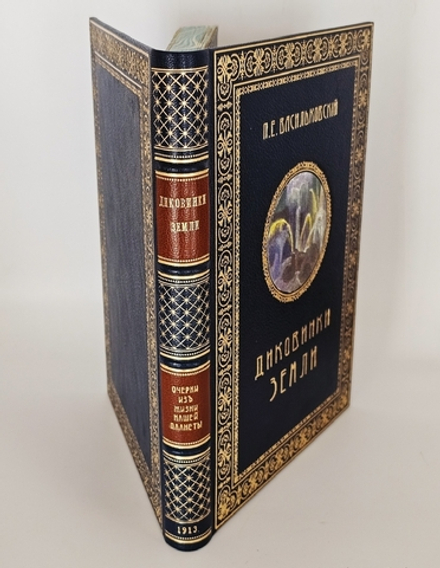 "Диковинки Земли". П.Е.Васильковский. 1913г.