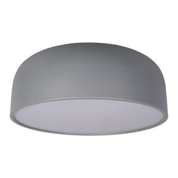Потолочный светильник LED 30W 4000К 10201/480 Grey серый Axel LOFT IT