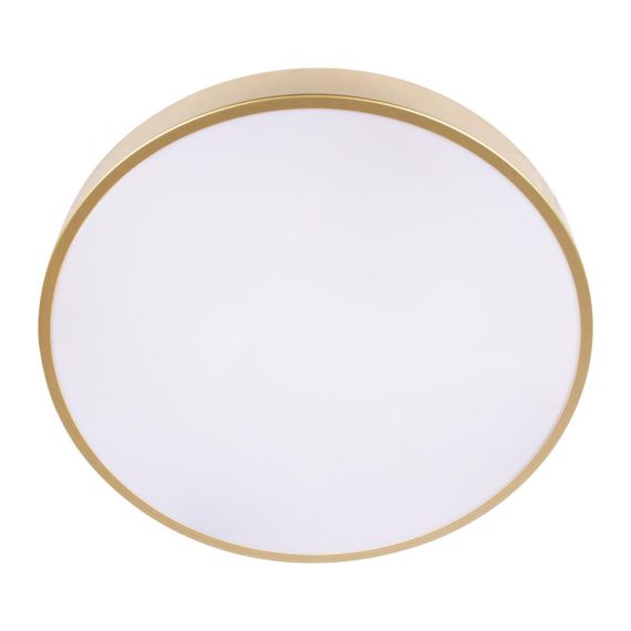 Потолочный светодиодный светильник Loft IT Flims 10228/A