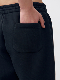 Брюки мужские с начесом "jogger fleece" (черный)