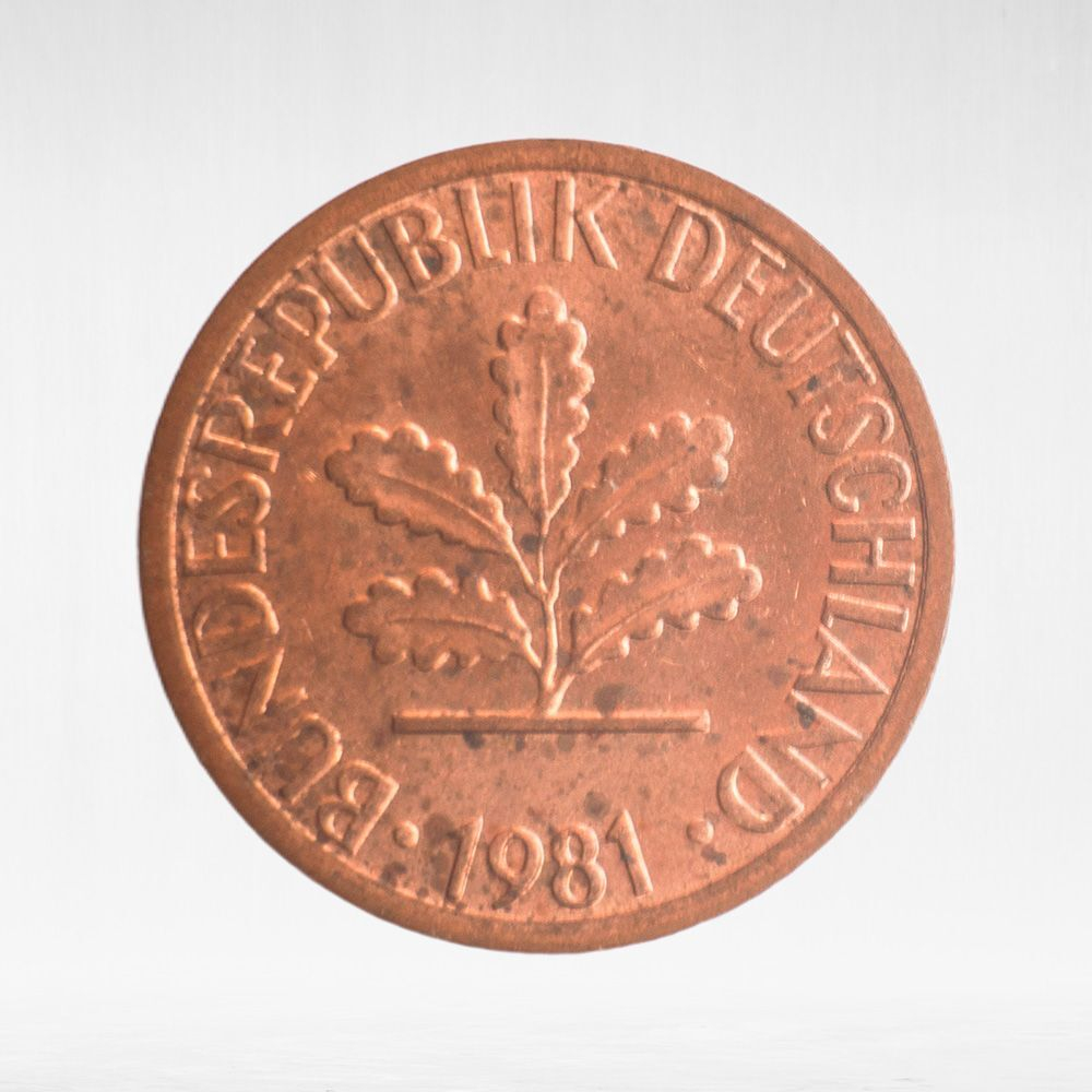 Germany, 1 Pfennig, 1981, (Munich Mint - "D"), VF