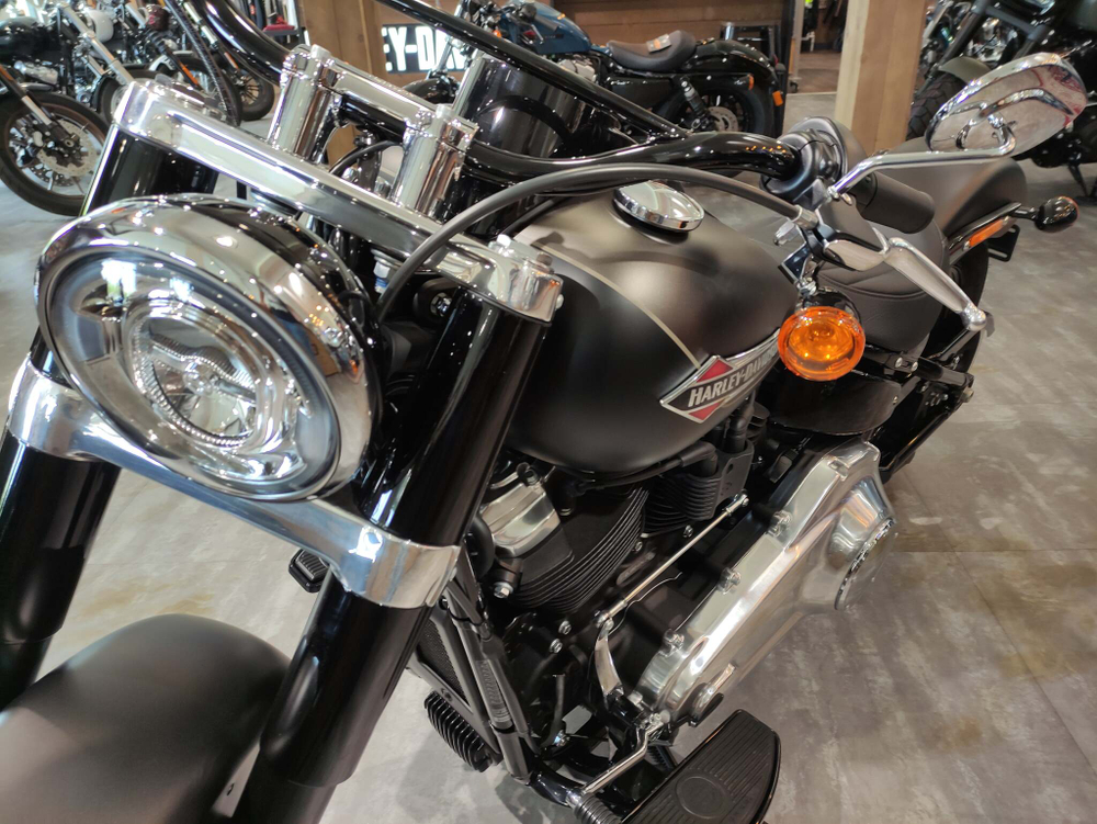 Softail Slim 2021 Harley-Davidson River Rock Gray Denim / Black Denim