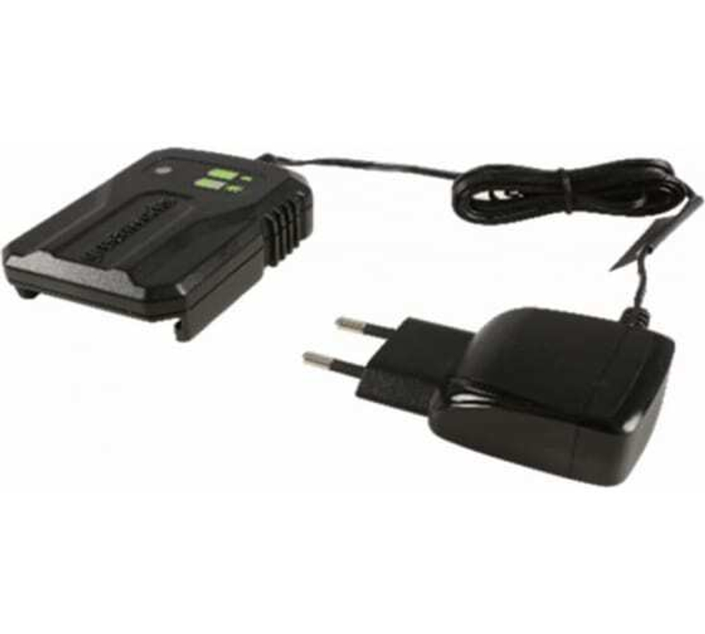 Зарядное устройство GREENWORKS G40UCM2M 40B 2А
