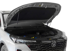 Упоры капота для Changan CS55 2019-н.в./Changan CS55 Plus 2022-н.в., 2 шт., UCHCS5011