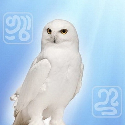 Посвящение в Мастерство Рун