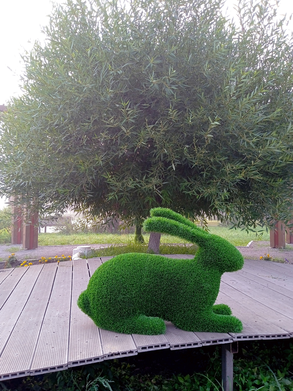 Заяц лежачий