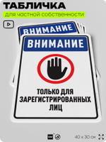 Табличка для частной территории "Внимание, только для зарегистрированных лиц", на дом, для участка, организаций и частных территорий, предупреждающая, 40х30 см, Silver Plane x Айдентика Технолоджи