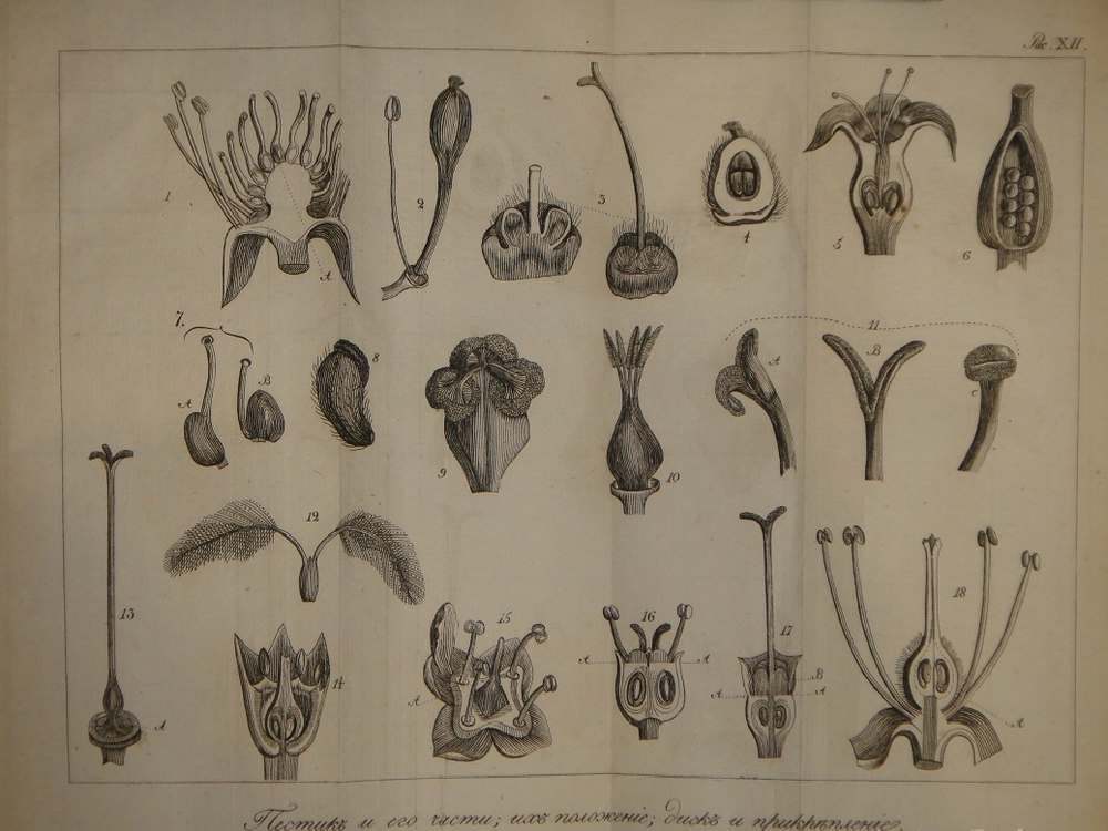 "Основание ботаники и физиологии растений. В 2-х частях". Сочинение А.Ришара. 1837г.