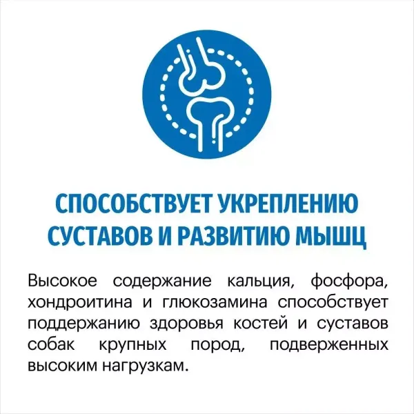 Сухой корм Karmy Maxi Adult для взрослых собак крупных пород, с телятиной