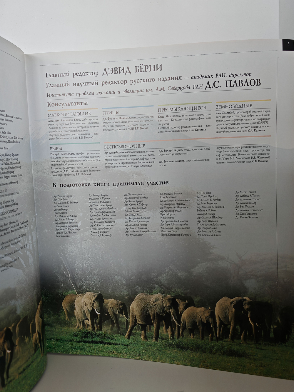 Животные. Большая иллюстрированная энциклопедия животных всего мира