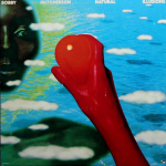 Bobby Hutcherson / Natural Illusions (LP)
