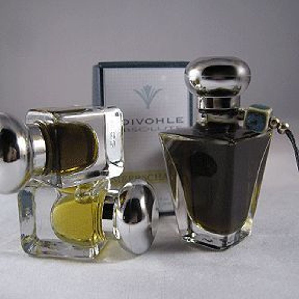 Soivohle Bottleneck Blues